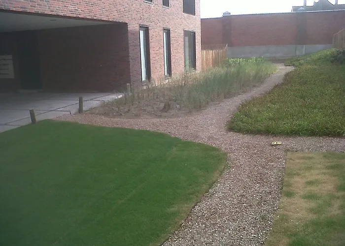 Voeten In Het Appartement *